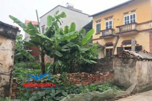 4 cách đầu tư bất động sản khu vực Gia Lâm - Long Biên được lãi cao