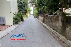 Xây tuyến đường rộng 30m nối Đa Tốn, Kiêu Kỵ với cao tốc Hà Nội – Hải Phòng