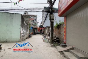 Thu mua đất tại các xã Đông Dư, Đa Tốn, Kiêu Kỵ, Trâu Quỳ thuộc Gia Lâm. Liên hệ: 0973166646