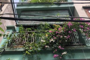 Cách hóa giải phong thủy khi bồn rửa và bếp để cạnh nhau