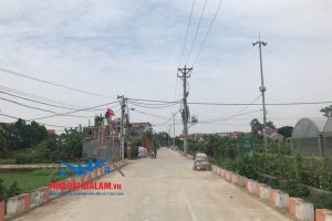 Tôi vào nghề môi giới nhà đất với đồng lương chỉ đủ ăn mỳ tôm