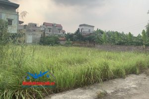 Nhà đất Gia Lâm - Tuyển dụng 01 Sales Kinh Doanh BĐS khu vực Gia Lâm