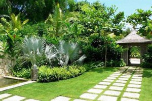 Muốn thay đổi vận khí, chuyển mình giàu có, hãy trồng ngay cây phong thủy ở 3 vị trí này