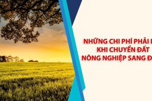Chi phí phải nộp khi chuyển đất nông nghiệp sang đất ở