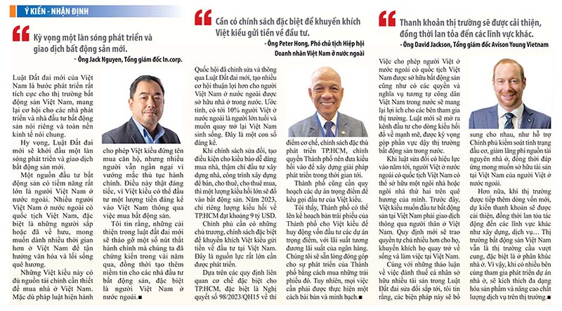 thuyan-net-rong-cua-cho-viet-kieu-kinh-doanh-bat-dong-san-2.jpg