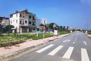 Phân khúc đất nền sẽ tiếp tục chiếm 