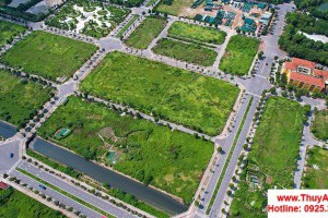 Hà Nội: Tiếp tục đấu giá quyền sử dụng đất thực hiện dự án xây dựng nhà ở thấp tầng để bán tại quận Long Biên