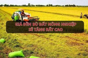Giá đền bù đất nông nghiệp chuẩn bị tăng rất cao