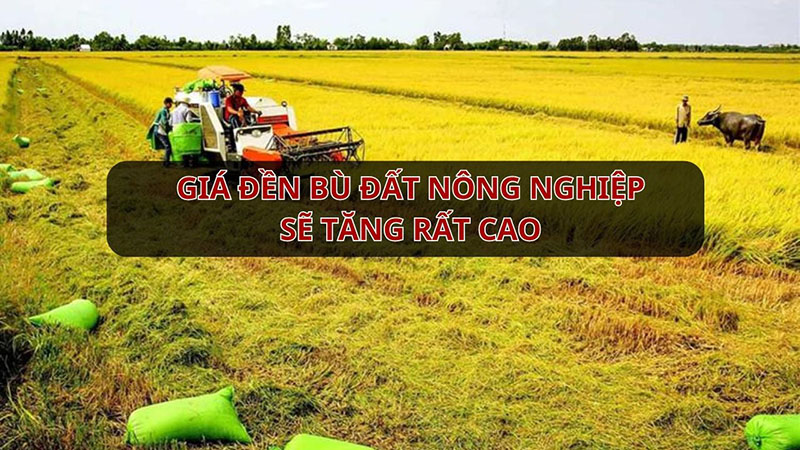 thuyan-net-gia-den-bu-dat-nong-nghiep-chuan-bi-tang-rat-cao.jpg