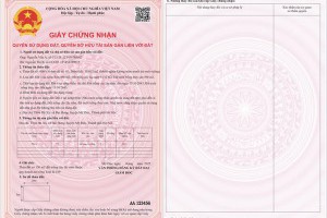 Từ tháng 8, nếu không đổi sang mẫu Sổ đỏ mới, người dân có bị phạt?