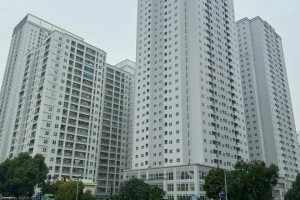 Hà Nội triển khai thi hành Luật Đất đai năm 2024