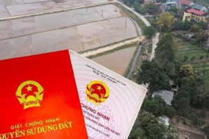 Hà Nội đẩy nhanh tiến độ số hóa 'sổ đỏ'