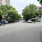 Biệt thự nhà vườn Việt Hưng: Lô góc thoáng đẹp, 145,1m2, 4 tầng - An cư lý tưởng, kinh doanh phát lộc!