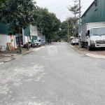 Đất Lô Góc 150m2 KĐT 31ha Trâu Quỳ - Mặt tiền rộng, thích hợp xây văn phòng/phòng khám