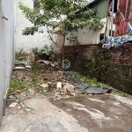 Cần bán 49,2m2 đất vuông đẹp trong ngõ 76 Hoa Lâm. Cách 10m ra đường thông ô tô