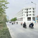 SIÊU GÓC 3 MẶT ĐƯỜNG! Shophouse 6 Tầng 179,9m2 Mặt Phố Lý Thánh Tông - Kết nối thẳng Vin Ocean Park 1