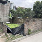 Chính chủ bán 50m2 lô góc mặt đường xóm 1 Đông Dư (ngõ 2 Giáp Hải). Đường ô tô tránh, phù hợp VPKD 