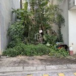 Bán Đất TĐC Giang Biên - Việt Hưng 40m2, MT 4m Khu Phân Lô, Đường Ô Tô Tránh