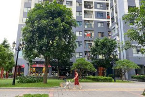 Kinh nghiệm chọn tầng khi mua chung cư